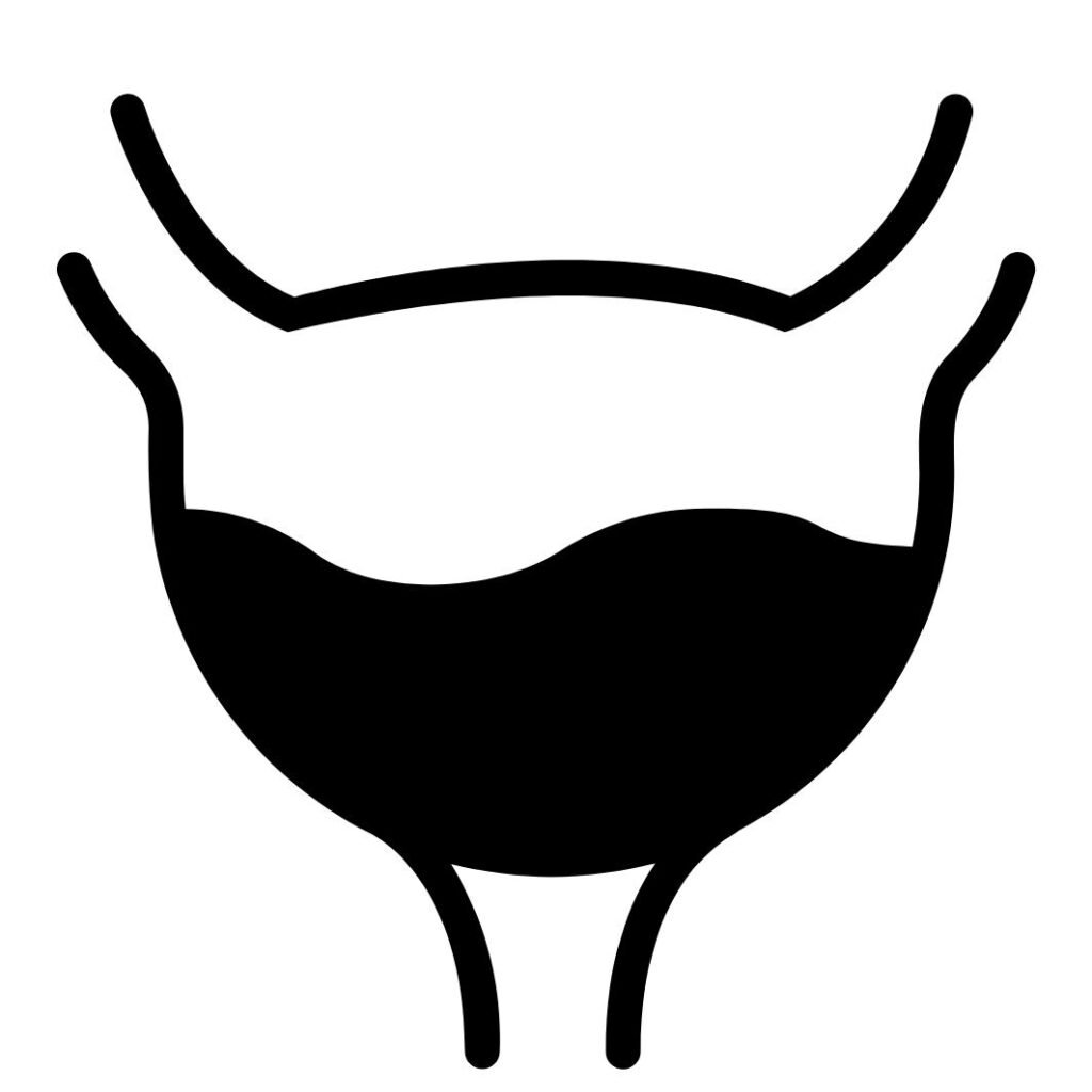 treatment for bladder issues with homeopathy